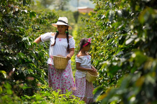 Coffee Farm and Salento Walking Tour With Lunch - Enjoy a Guided Walking Tour