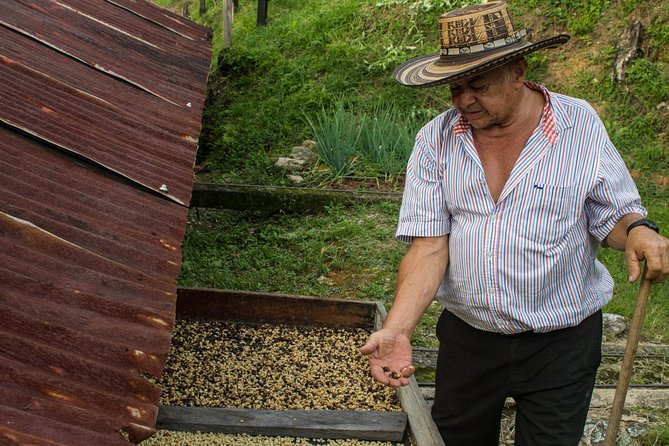 Coffee Farm Experience at Café De La Cima From Medellín - Questions About Your Stay
