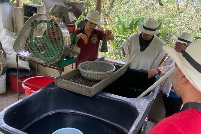 Coffee Farmer for a Day With Lunch Included - Exploring the Scenic Bogotá Landscapes