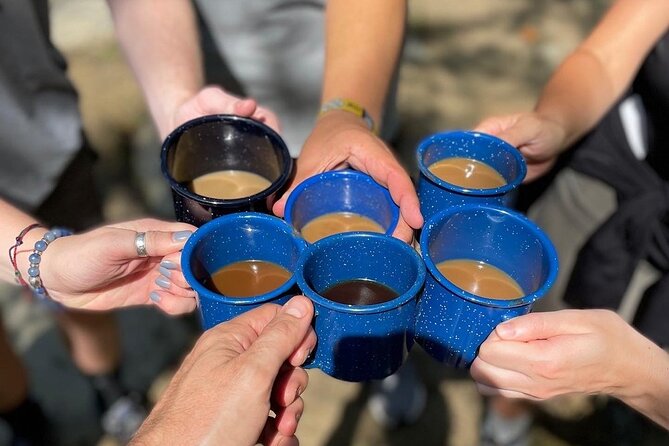 Coffee Hike to Three Waterfalls in DuPont State Forest - Booking and Confirmation Details