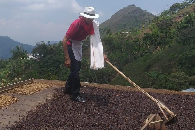 Coffee Tour Medellin - Reviews and Ratings