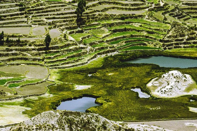 Colca Canyon Full Day + Buffet Lunch - Meeting and Pickup