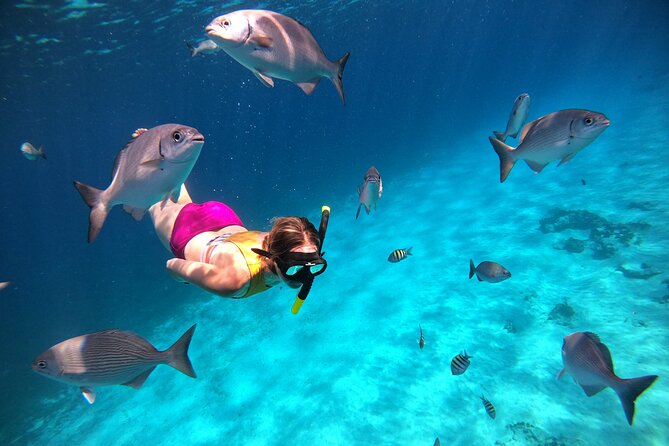 Columbia , Palancar & Cielo Snorkel Tour - Safety and Accessibility