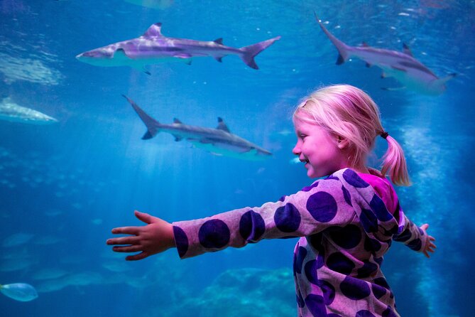 Combi Ticket: LEGOLAND Discovery Centre & SEA LIFE Oberhausen - Cancellation Policy