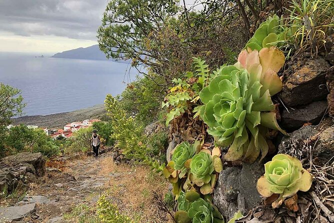 Come Discover the Island of El Hierro in a Small Group - Health and Safety Considerations