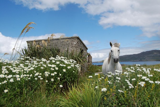 Connemara & Connemara National Park Day Tour From Galway. Guided. - Inclusions