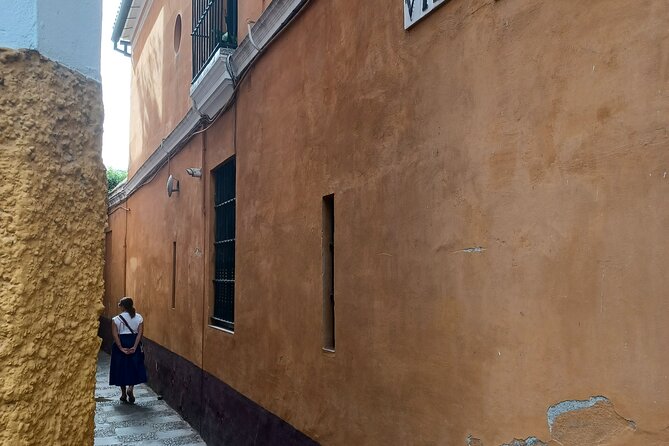 Contrasts of Seville - Cultural Immersion in Seville