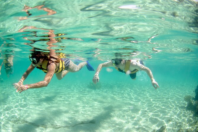 Coral Reef Snorkeling Expedition From Cancun With Beachside Lunch - Pricing and Cancellation Policy