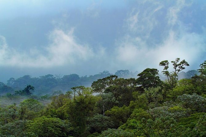 Corcovado National Park One Day Tour - Wildlife and Rainforest Exploration