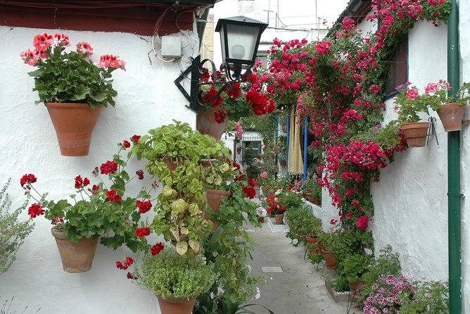 Cordobas Authentic Patios: 2-Hour Tour With Tickets - Patio Festival Highlights