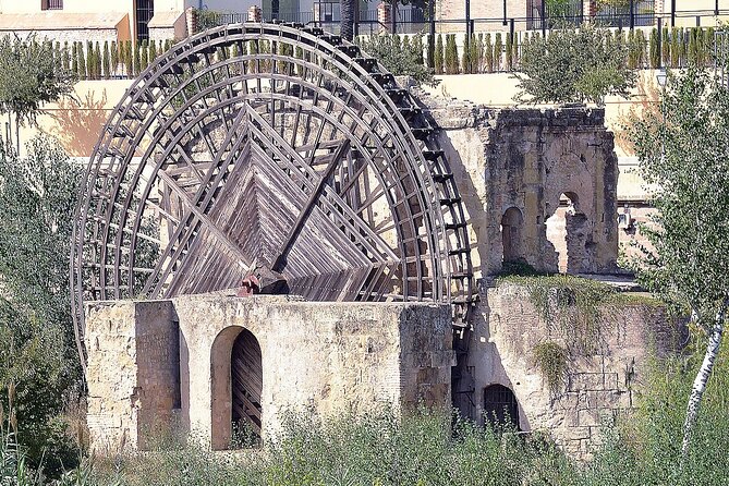Cordobas Historical Treasures: A Walking Tour - Accessibility and Participation