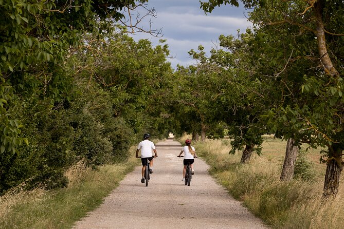 Cortona - Ebike Tour and Wine Tasting in the Val Di Chiana [40] - Equipment and Safety