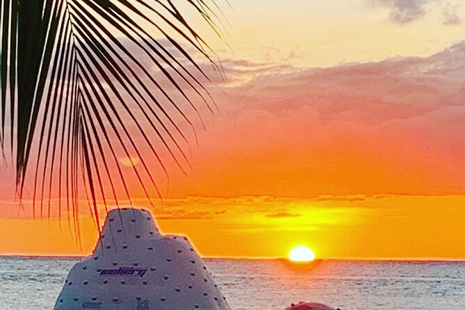 Cozumel Day Pass at San Francisco Beach Club - Customer Reviews and Feedback