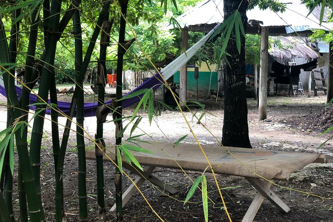 Cozumel Farm To Table Experience!!! - Tour Activities and Duration
