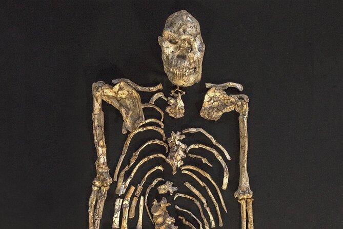 Cradle of Humankind Half Day Tour - Guest Experiences
