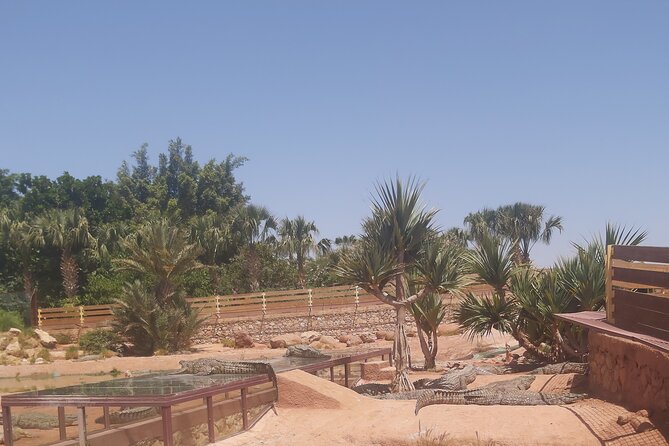 Crocodil Park Transport and Crocoparc Ticket - Visitor Experience Highlights