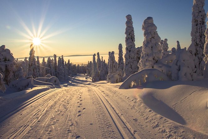 Cross-Country Skiing Guided Tour From Prague - Pickup and Schedule