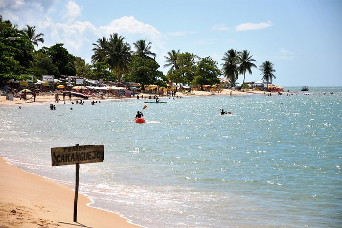 Crown Red - Discovery Coast - Day Trip From Porto Seguro - Cultural Experience