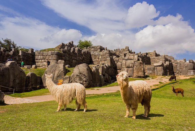 Cusco City Tour Including Sacsayhuaman Koricancha and Tambomachay - Discovering Sacsayhuamans Impressive Ruins