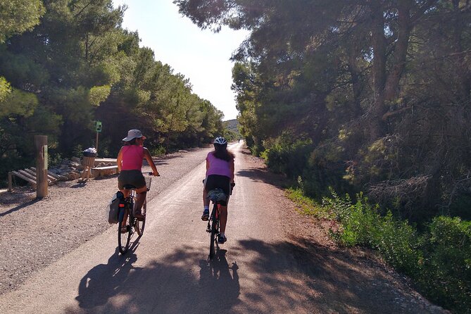 Cycle Benicassim Coast and Disused Train Line Via Verde - Exploring the Disused Train Line