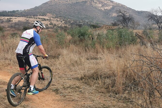 Cycling in a Forest Close to Johannesburg and Pretoria - Bike and Gear Provided