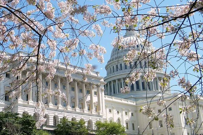 D.C. Cherry Blossoms: Escorted Bus Tour From Toronto - Meeting and Pickup Details