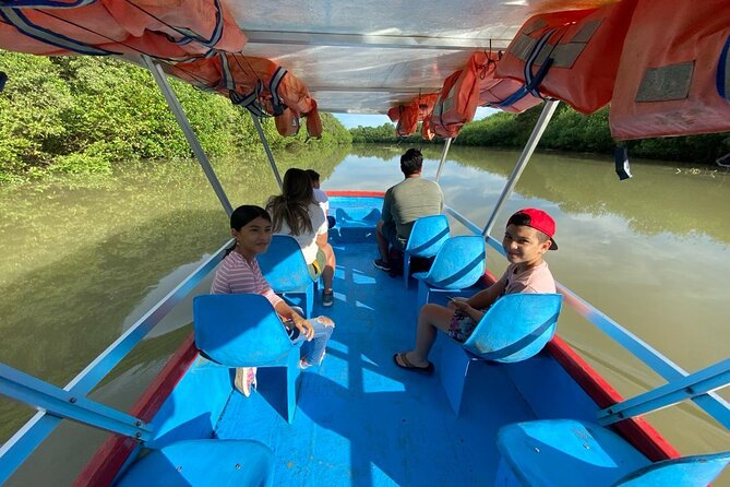 Damas Island Mangrove Tour With Monkeys - Meeting and End Points