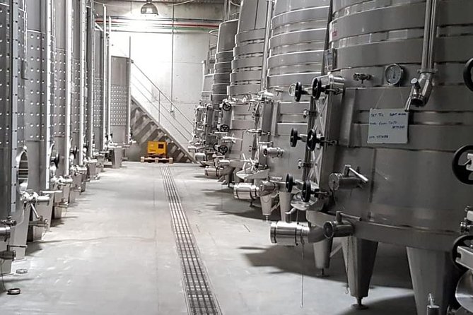 Dão Wine Region: Portuguese Version on Bordeaux - Tour Conditions and Requirements