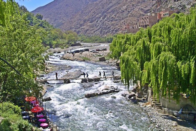 Day in the Atlas Mountains With Camel Ride - Reviews and Ratings