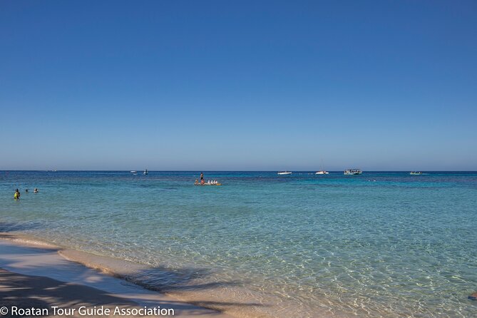 Day Pass @ Paradise Beach + Optional Gumbalimba Animal Sanctuary And/Or Zip Line - Arrival and Check-in