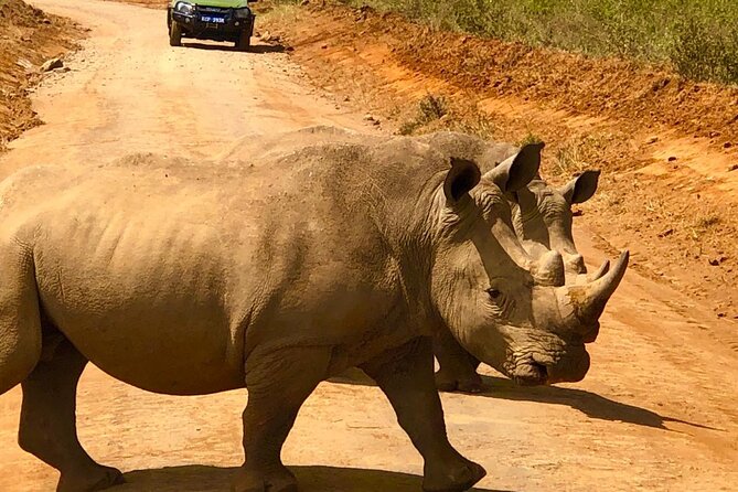 Day Tour to Nairobi National Park and Giraffe Center - Private Tour and Group Size