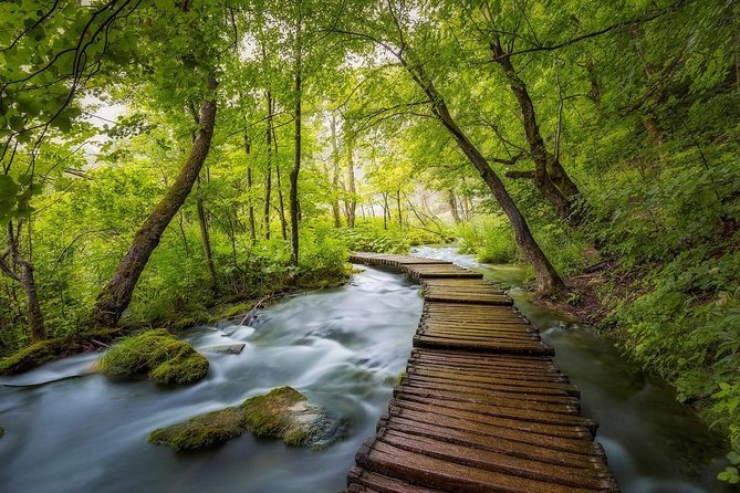 Day Trip From Dubrovnik to Plitvice Lakes - Accessibility and Suitability