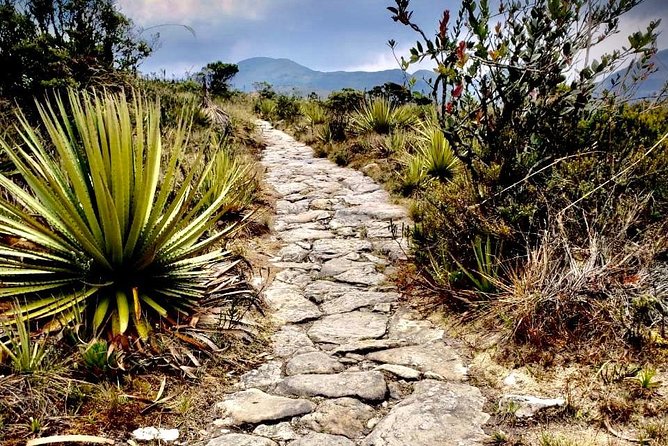 Day Trip to El Verjon Paramo, Moorland—Matarredonda Park - Highlights of the Moorland Landscape
