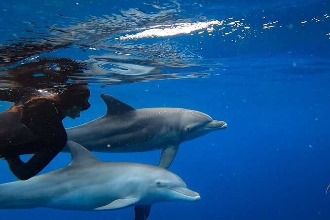 Day Trip to Ponta De Ouro Beach /Dolphin Swim+Snorkel+Whale Watch - Accessibility and Participant Details