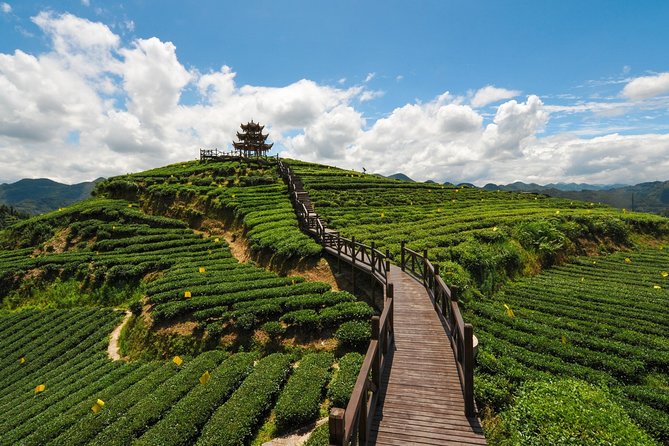 Day Trip to Singalila (Guided Private Sightseeing Experience From Darjeeling) - Cancellation Policy