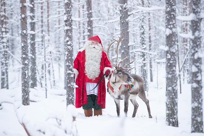 Daytour to Santa Claus Village, Reindeer and Husky Safaris, Photo, and Lunch - Exploring Santa Claus Village