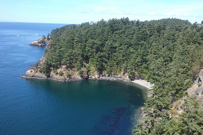 Deception Pass Bridge Island Tour From Seattle - Reviews and Ratings