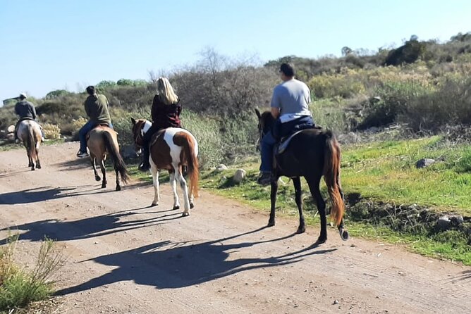 Desert Peaks on Horseback, Exploring Mountain Trails of Ensenada - Experience Highlights
