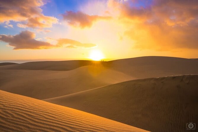 Desert Safari, Camel Ride and Inland Sea Tour - Pricing Details