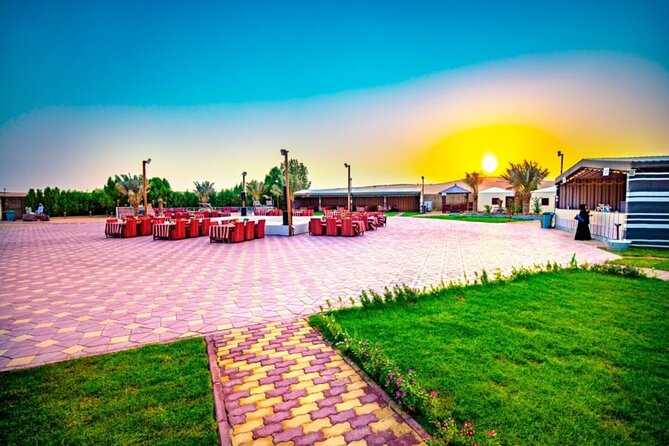 Desert Safari in 4x4 Car With BBQ Dinner and Belly Dance - Pricing and Booking Information