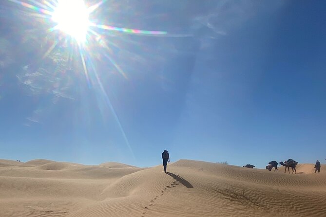 Desert Tours and Adventurous Camel Trekking Through the Sahara - Health and Safety Considerations