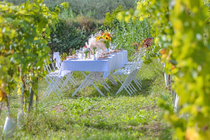 Dinner in the Vineyard French Riviera - Accessibility and Participation