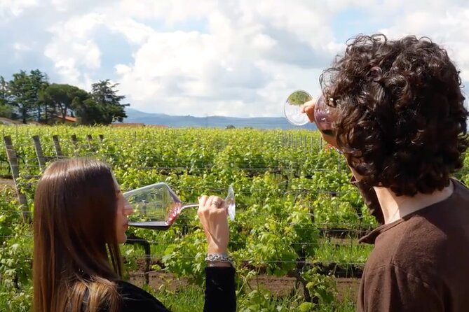 Dinner in the Vineyards - Service and Organization