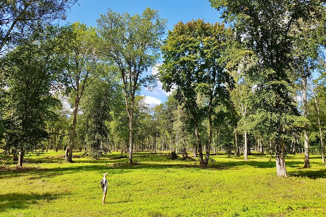 Discover Best Of Gauja National Park In One Day - Pickup Information