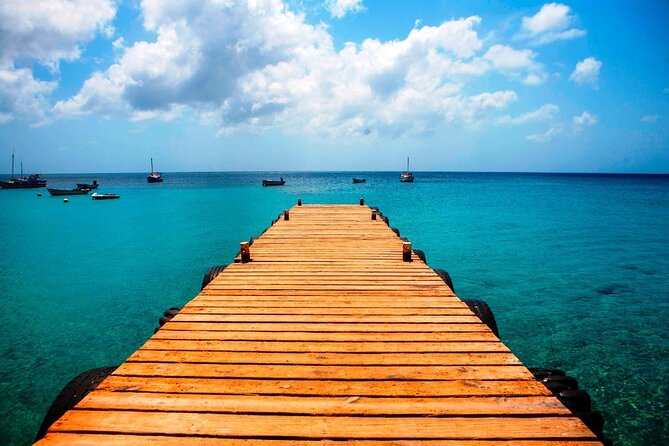 Discover Curaçao Self Guided Island Tour - Availability and Accessibility