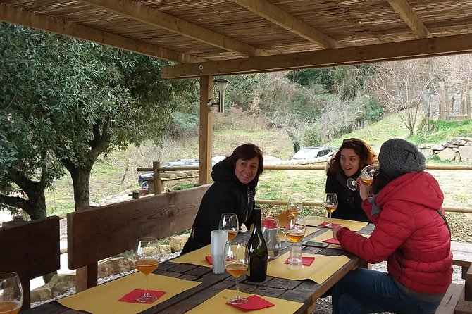 Discover Montalcino Through Its Best Productions: Brunello & Saffron!! - Saffron-Infused Snacks