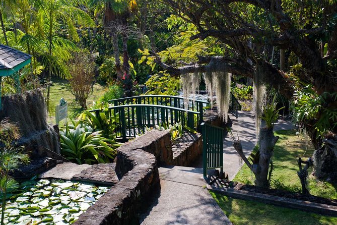 Discover Nevis, Island Tour (Private) - Participant Experience
