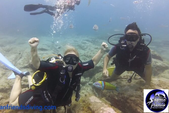 Discover Scuba Diving, Free Pictures Included - Recommended by 100% of Travelers