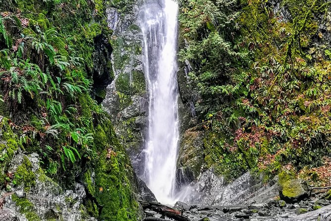 Discover Sooke to Port Renfrew Scenic Tour of Vancouver Islands - Natural Attractions