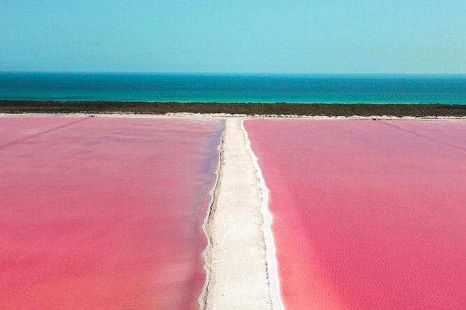 Discover the FABULOUS PINK WATERS in the Caribean (Las Coloradas+Río Lagartos) - Tour Experience and Feedback